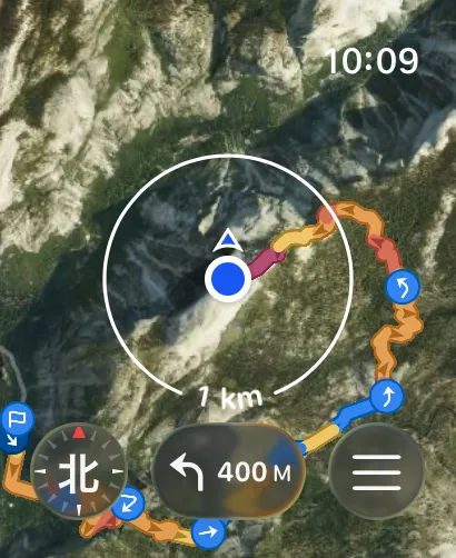 衛星画像の上に Apple Watch で作成されたポイント間ルート。現在地のマーカーと検索半径のリング付き